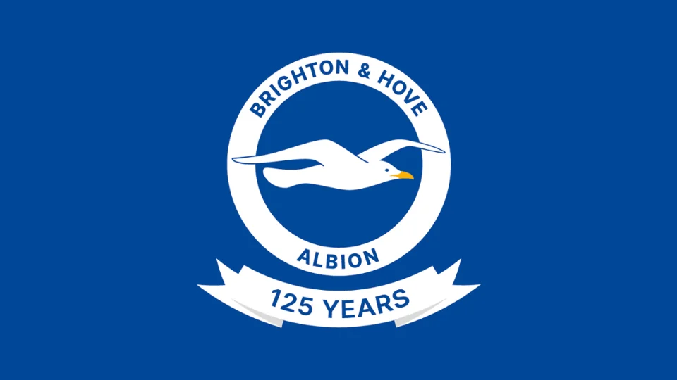 Brighton and Hove Albion team logo
