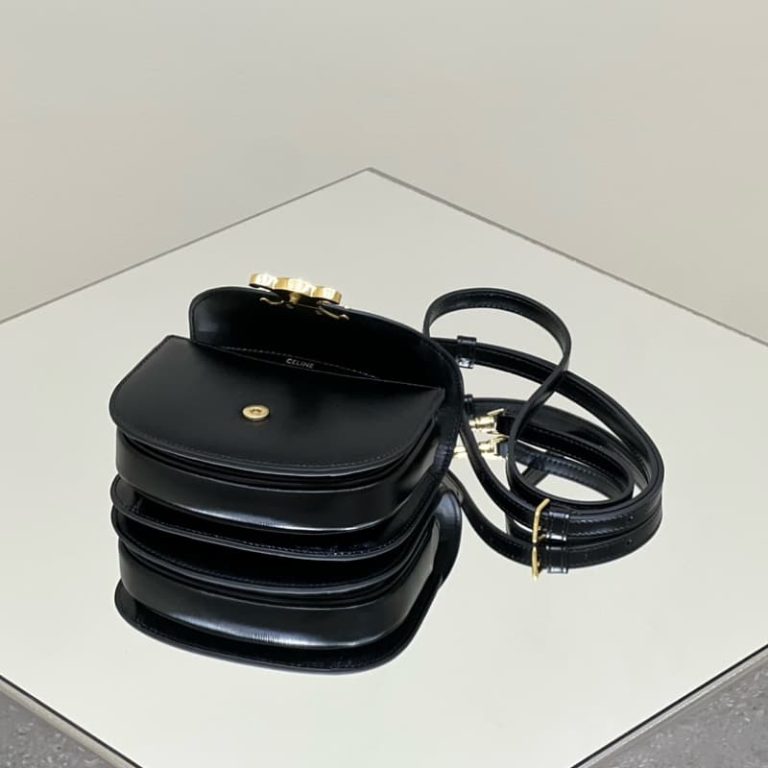 CELINE Bucket Triomphe handbags-4