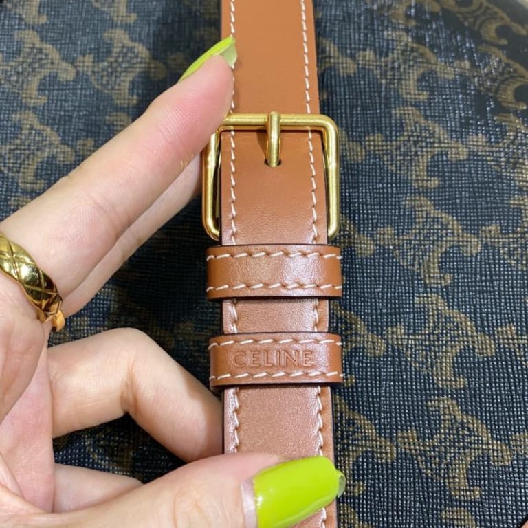 Celine Classique Triomphe Bag-3