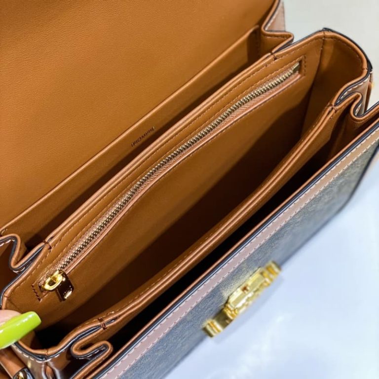 Celine Classique Triomphe Bag-4