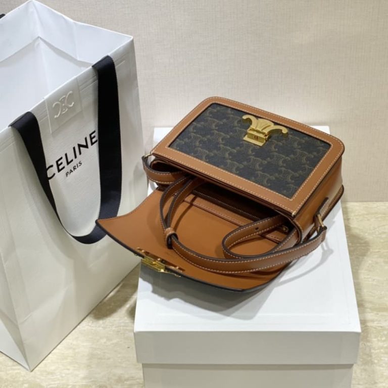 Celine Classique Triomphe Bag-6