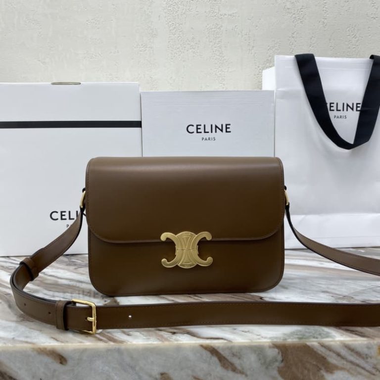 Celine Triomphe Medium calf leather shoulder backpack-3