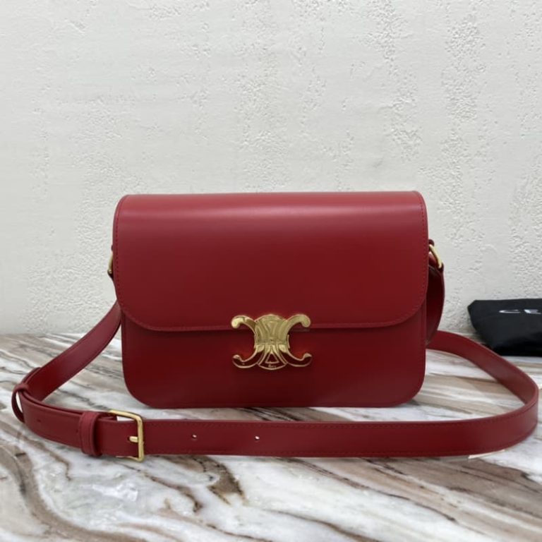 Celine Triomphe Medium calf leather shoulder backpack-5