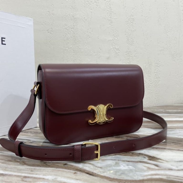 Celine Triomphe Medium calf leather shoulder backpack-6