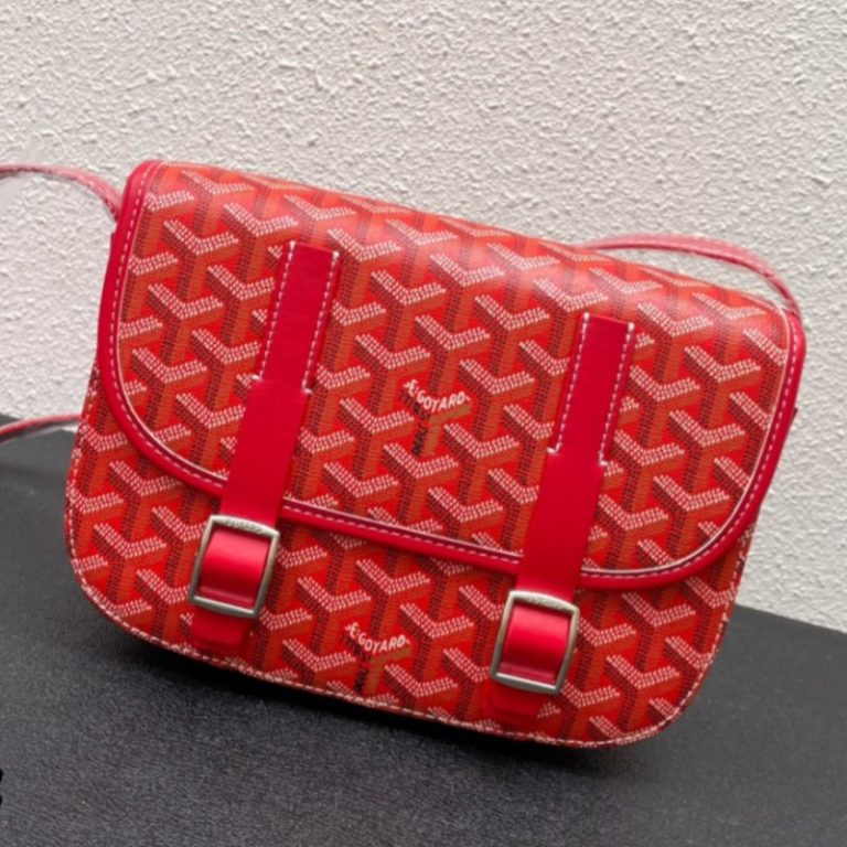 Goyard High Quality Women Man Flap messenger bag small capacity Shoulder Strap Dogtooth Pattern 25x10x18cm LB188 (11)