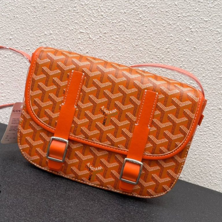Goyard High Quality Women Man Flap messenger bag small capacity Shoulder Strap Dogtooth Pattern 25x10x18cm LB188 (12)
