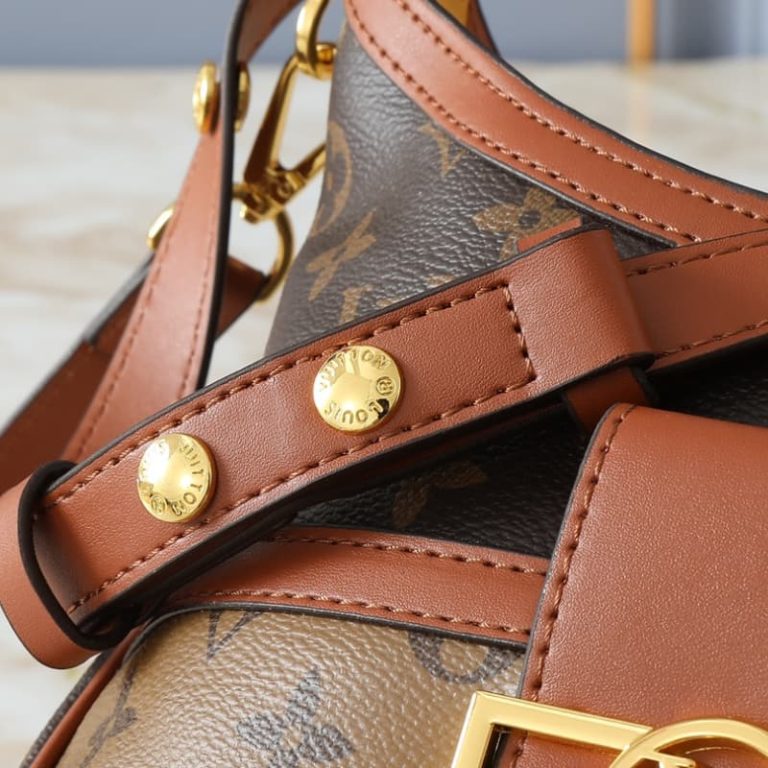 Louis Vuitton Hobo Dauphine Small Handbag-3