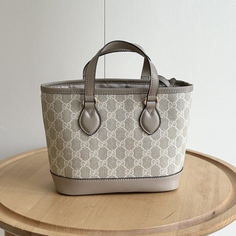 GUCCI High Quality Women Mini Tote Shoulder Handbag Letters Embroidery Gold Logo Embellishment-2