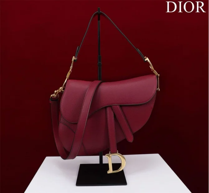 Dior saddle bag